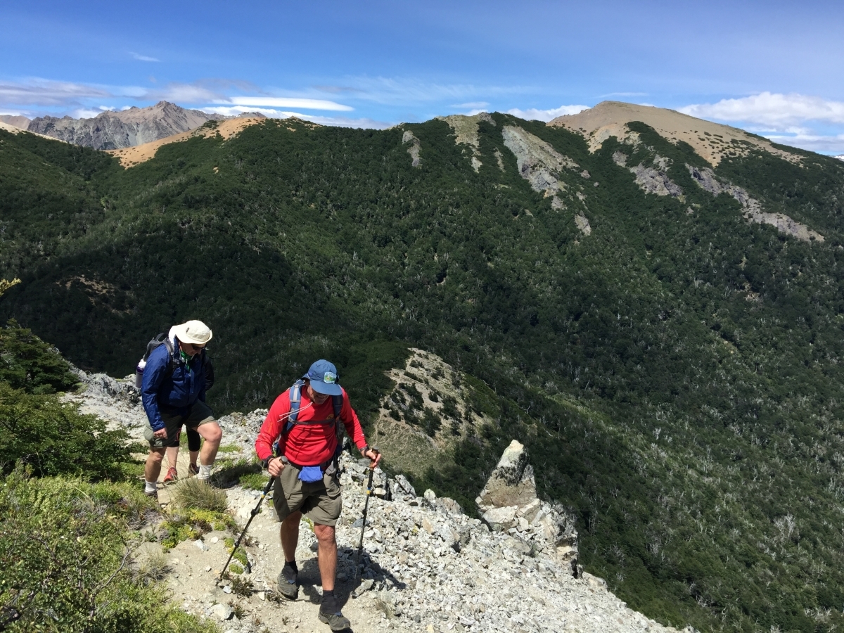 The Importance of Using Trekking Poles